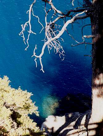 Balance restored by fear of heights