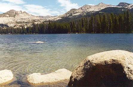 Classic alpine wet rocks